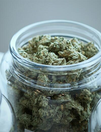 Rund 65.000 Patienten werden die Erstattungen für Cannabis-Blüten aus der gesetzlichen Krankenversicherung gestrichen.