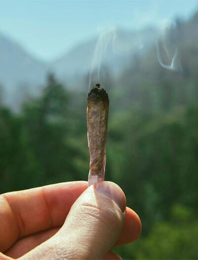 Wie viel THC ist zu viel? Neue Studie definiert klare Grenzwerte für riskanten Konsum