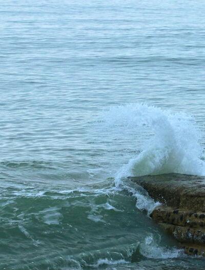 Cannabis und PTBS: Das Potenzial der Cannabinoide bei Traumata