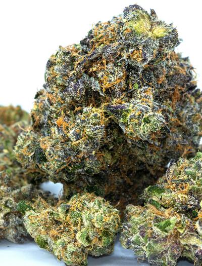 Die richtige Aufbewahrung von Cannabis entscheidet darüber, ob die Blüten lange frisch bleiben oder an Potenz verlieren.