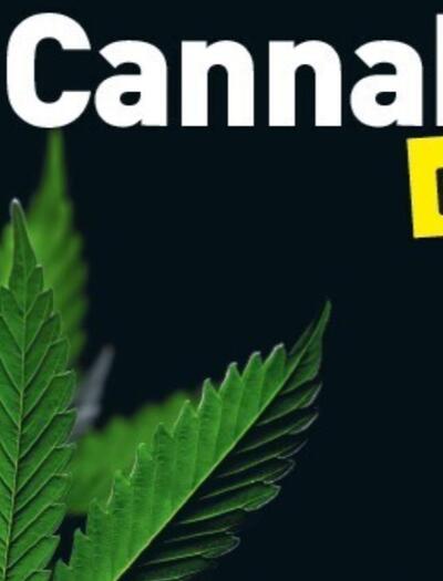Le Cannabis pour les nuls : un livre de Nicolas Authier et Véronique Julia