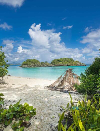  This pivotal vote holds the potential to transform Caye Caulker into a prominent cannabis destination within the Caribbean, attracting tourists & new business