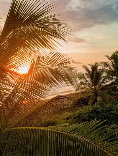 This export is significant not only because it marks the first transaction of its kind in Costa Rica's history