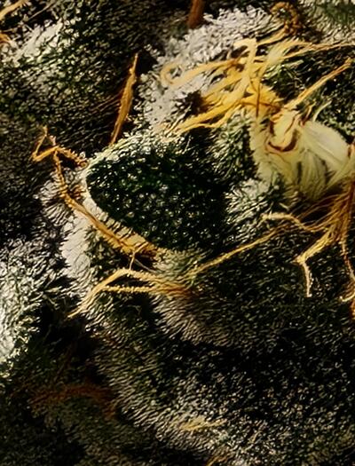 Decarboxylieren – Warum es den Unterschied macht