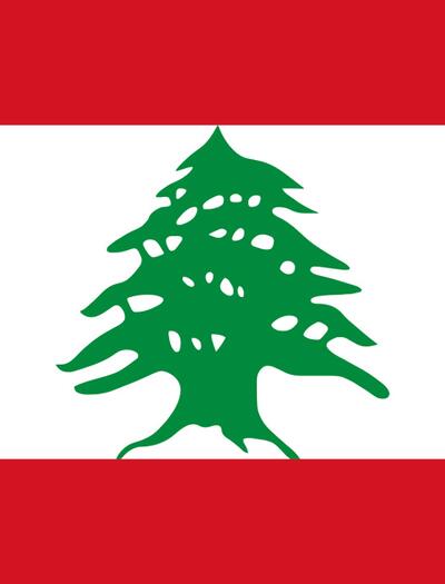  La culture du cannabis à usage médical légalisée au Liban