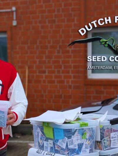 Dutch Passion