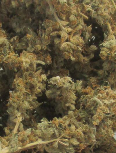 Cannabis médical : les fleurs ne seront plus remboursées en Allemagne