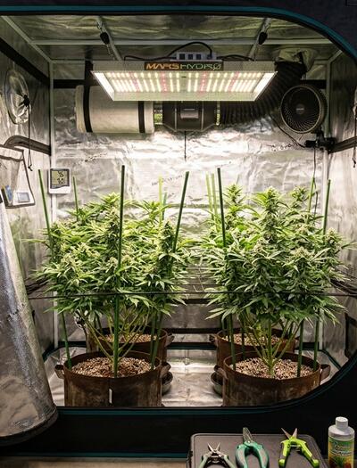 The Importance of Proper Ventilation for Indoor Cultivation