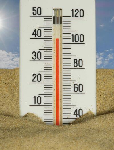 Keeping the environment in your grow tent at optimal temperatures during the hot summer months is essential for the health and success of your plants
