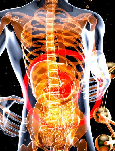 Existing evidence indicates that cannabis can suppress the immune system's activity