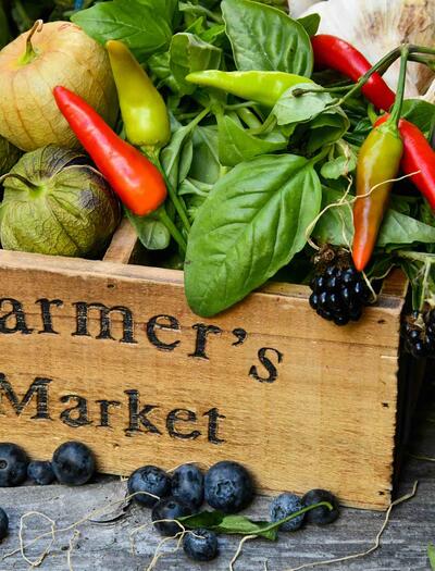 New York State is taking significant steps to revolutionize the cannabis industry by allowing farmers to sell legal marijuana at local farmers' markets.