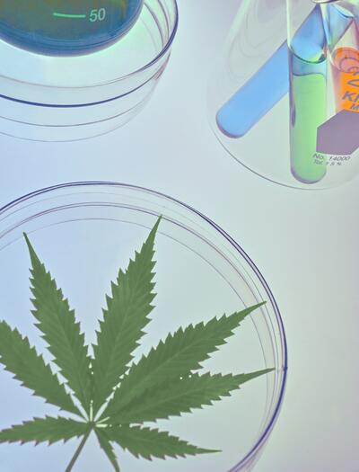 Wann zahlen die Krankenkassen für medizinisches Cannabis? 