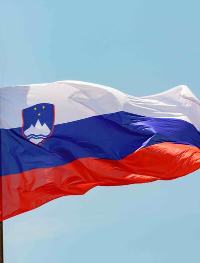 Slovenia is poised to take a significant step in European drug policy as the first country in Southeast and Eastern Europe to legalise private consumption