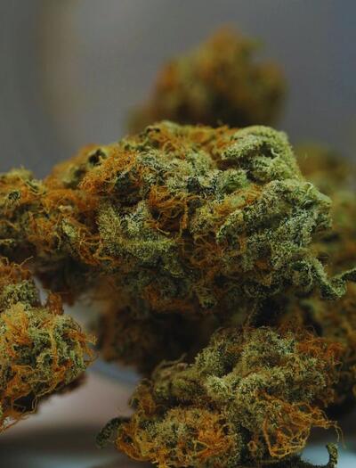 Marihuana
