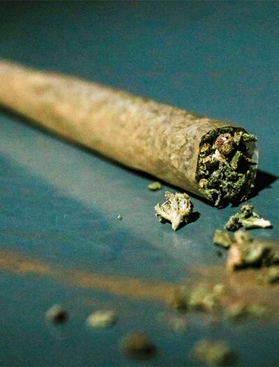 Schritt für Schritt wie man einen perfekten Joint baut. Von der Vorbereitung bis zu Techniken wie L-Blatt oder Hasch-Joints.