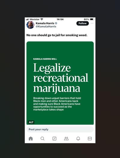 kamala harris cannabis