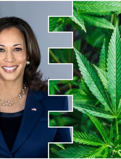 Kamala Harris promises to legalize recreational marijuana