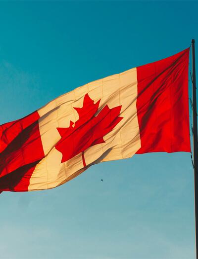 Mit über 62 % an Kanadas gesamten Cannabisexporten ist Deutschland kein bloßer Abnehmer mehr, sondern der Anker der Branche.