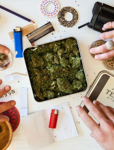 Legalizace konopí v Německu: zatím jen dobré zprávy