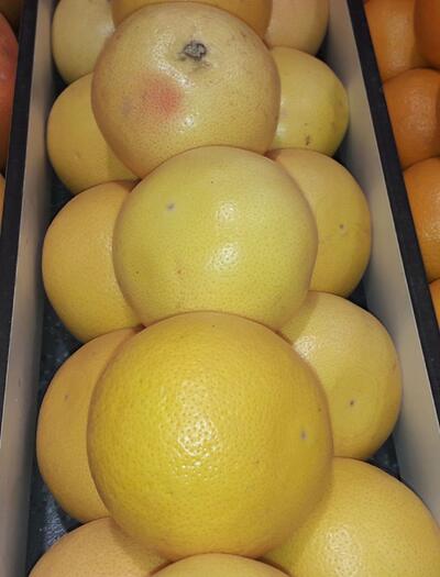 Limonène : cannabis et agrumes