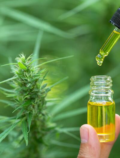 Quel avenir pour le cannabis médical en France ?