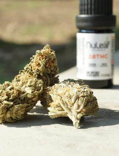 Terpeny v konopí jsou klíče k endokanabinoidnímu systému