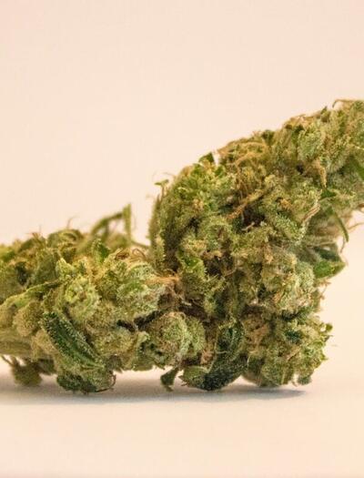 OG Kush cannabis strain origins, effect and how to grow it