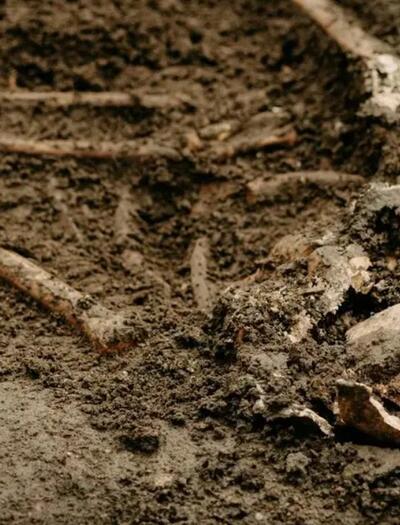 Milano, Cannabis, archeologia