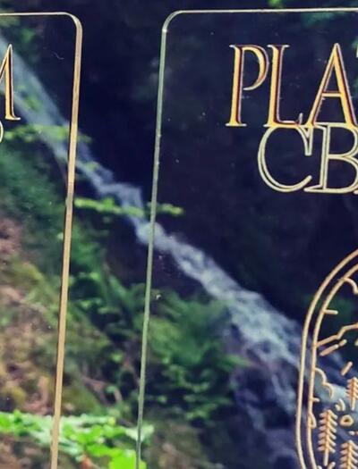 Résultats Platinum CBD Cup
