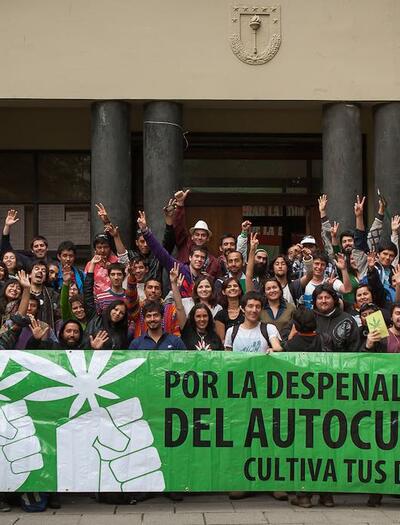 Criminalización de pacientes medicinales: El impacto en la comunidad cannábica chilena de la reforma a la ley 20.000. Foto: Nahuel Carvajal. CC3.0