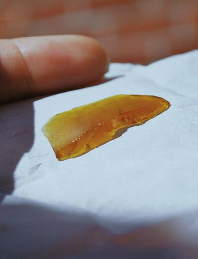 Rosin a live resin představují špičku mezi koncentrovanými produkty z konopí