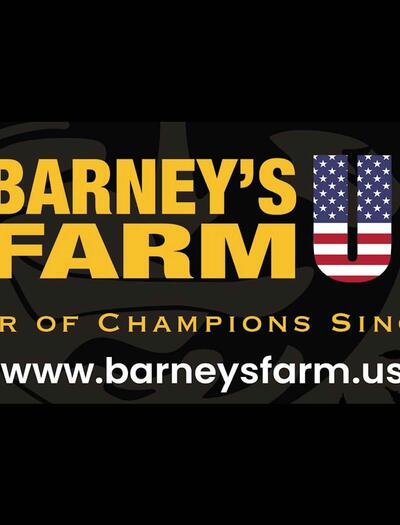 Barney's Farm and Doja Exclusive join in Developing Unique Cannabis Genetics