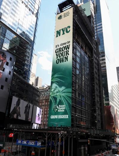 Royal Queen Seeds Takeover Times Square Billboard for 4/20