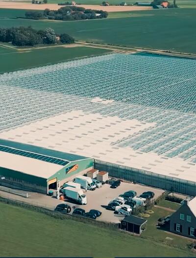 CanAdelaar, la più grande weed farm olandese vittima di furti, reclami e problemi legati agli odori