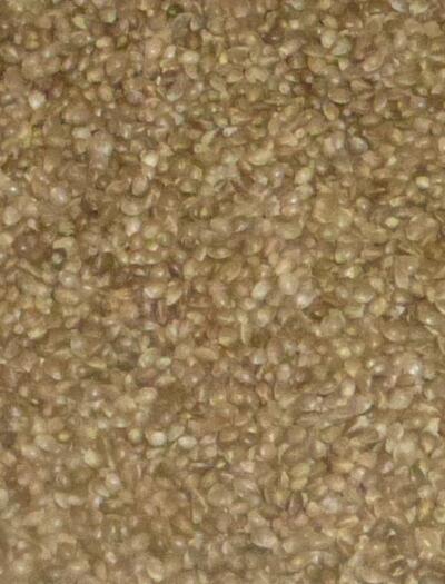 Allemagne : des graines de cannabis en vente dans les supermarchés Netto