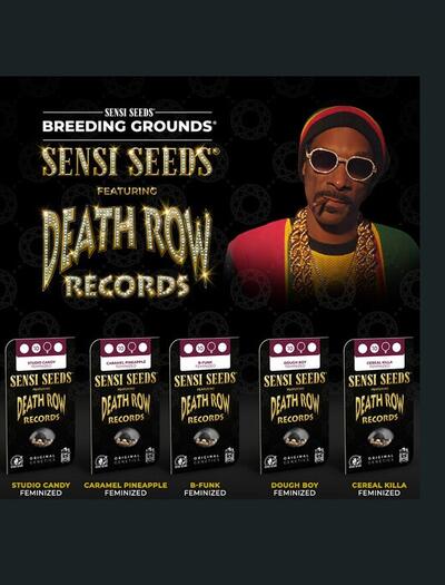sensi seeds snoop dogg