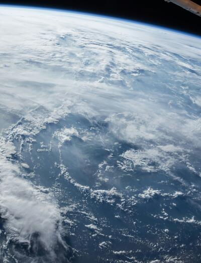 What Happened to the Cannabis Seeds Sent into Space?