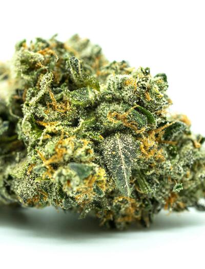 Terpeny z konopí tiší bolest i samotné, říká studie