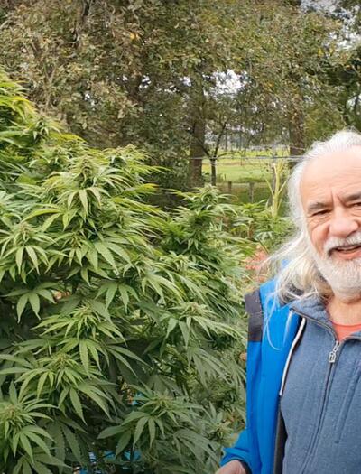Wernard Bruining, le père de la weed