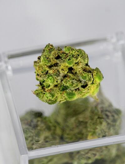 terpenes are volatile organic hydrocarbons that can undergo significant transformations under extreme heat.