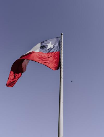 PROCAMED, or the Medicinal Cannabis Program, is a crucial initiative for ensuring safe and equitable access to medicinal cannabis in Chile