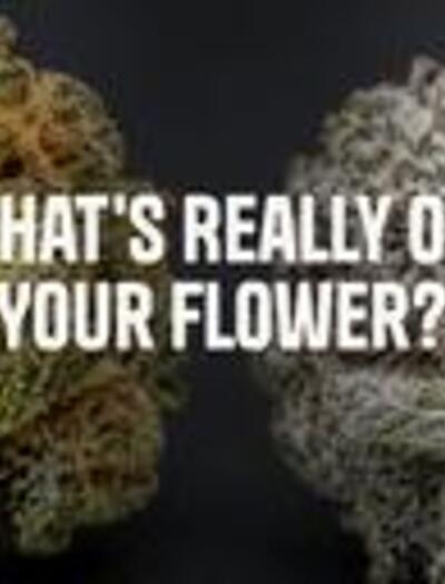 What's really on your flower?