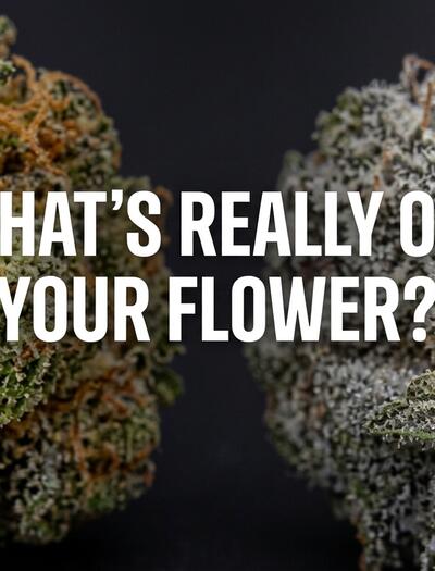 What's really on your cannabis flower