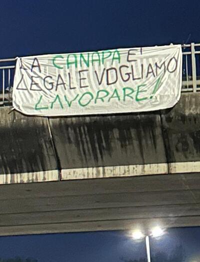 "La canapa è legale. Vogliamo lavorare": protesta pacifica per la chiarezza