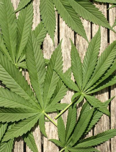 Thailand Tightens Cannabis Regulations