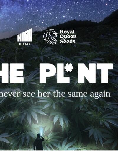 The documentary The Pl*nt is a must-watch for anyone interested in the science, history, and culture of cannabis