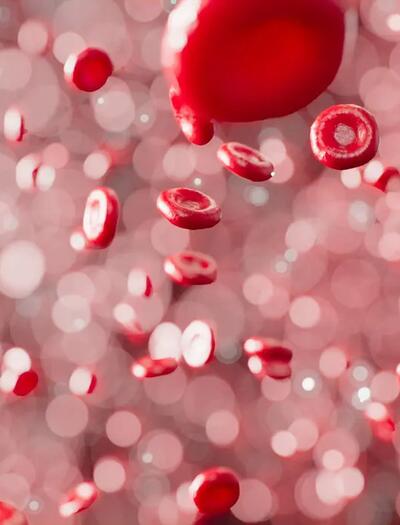 Wie man den Abbau von Cannabis aus dem Körper beschleunigen kann, und welche  Methoden ins Reich der Mythen gehören.