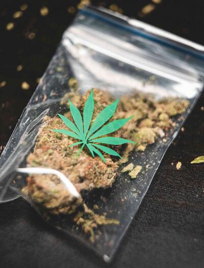 cannabis flowers will no longer be covered by the GKV compulsory health insurance scheme, which serves about 90% of Germans