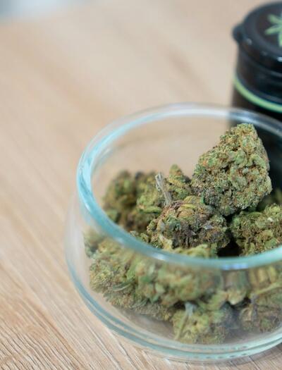 Cannabis y sistema endocannabinoide: ¿un “adaptógeno” natural?