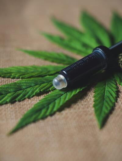 Una jeringuilla de dosificación oral sobre una hoja de cannabis verde y fresca. La imagen ilustra la importancia de la precisión en la toma de CBD para la epilepsia y su relación con la biodisponibilidad analizada en la revisión de Silva et al.